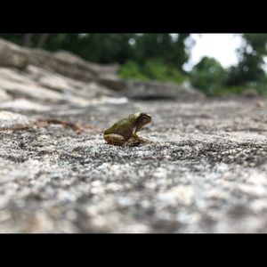 Meet your Posher, Mallory